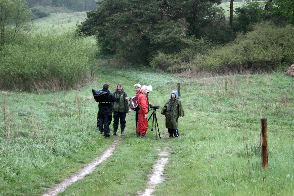 VWG vogelreis Oost Duitsland mei 2010 300
